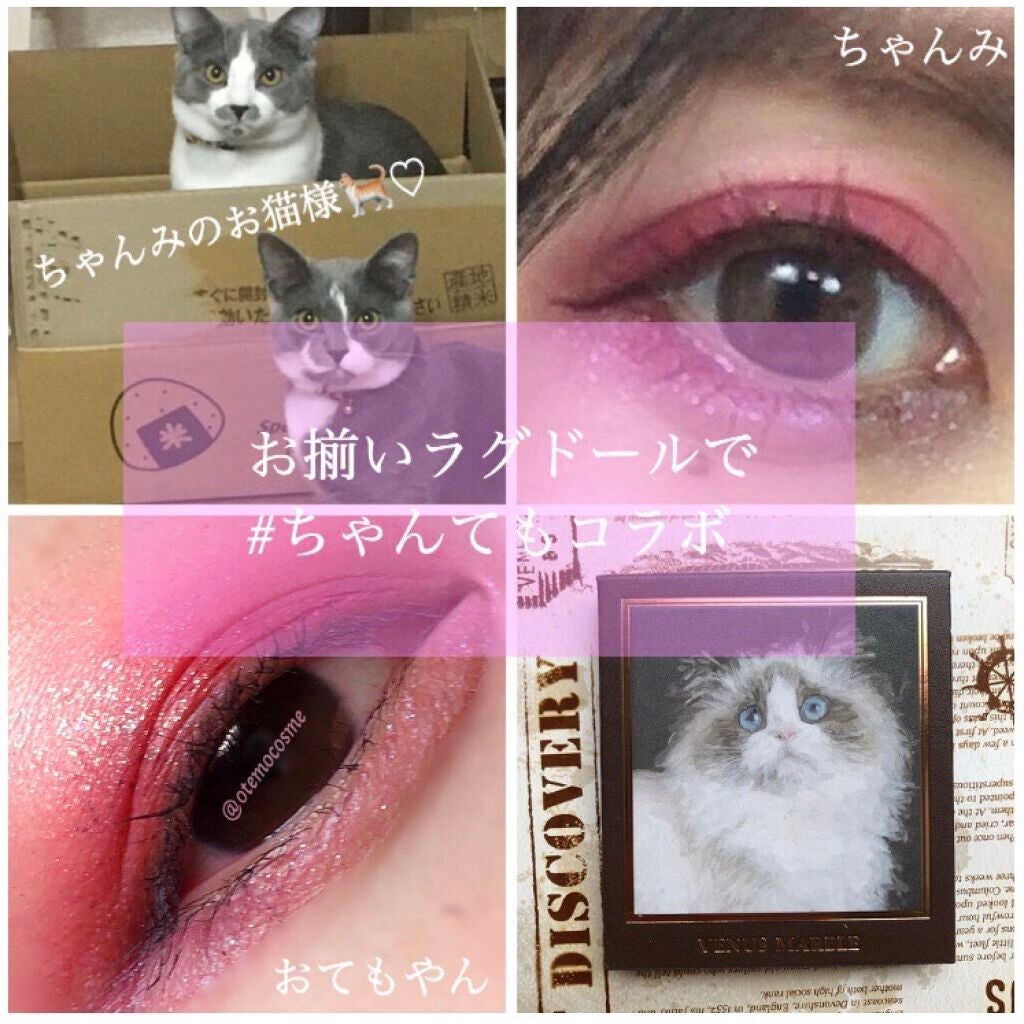 リキッドアイライナー /パラドゥ/リキッドアイライナーを使ったクチコミ(1枚目)