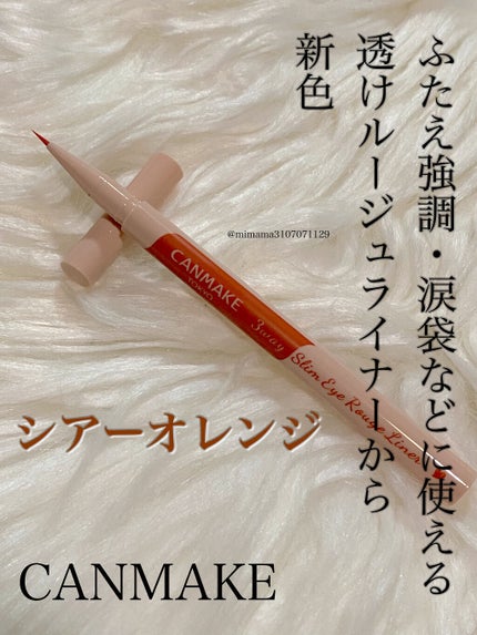 3wayスリムアイルージュライナー/キャンメイク/リキッドアイライナーを使ったクチコミ(1枚目)