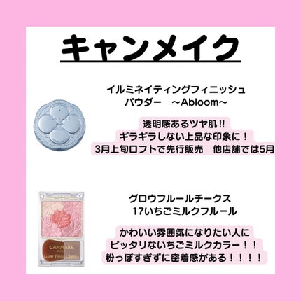 イルミネイティングフィニッシュパウダー ~Abloom~/キャンメイク/プレストパウダーを使ったクチコミ(2枚目)
