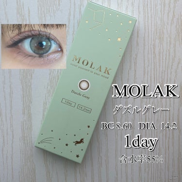 MOLAK 1day ダズルグレー/MOLAK/ワンデー（１DAY）カラコンを使ったクチコミ（1枚目）
