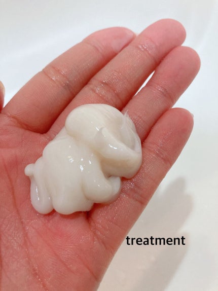 シャンプー/トリートメント SN さらさら/CLAYGE/シャンプー・コンディショナーを使ったクチコミ(6枚目)