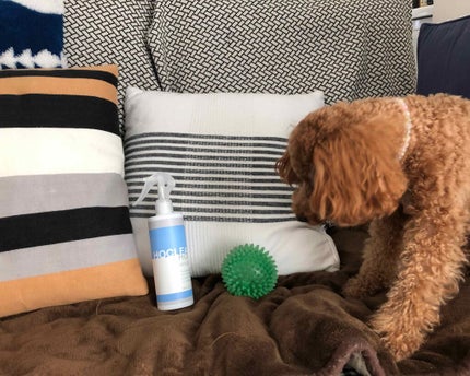 を使ったクチコミ(3枚目)