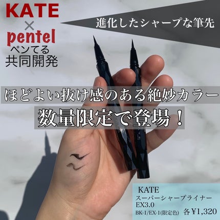 スーパーシャープライナーEX3.0 EX-1 グレイッシュブラック(限定)/KATE/リキッドアイライナーを使ったクチコミ(1枚目)