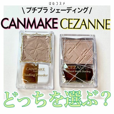 ナチュラルマットシェーディング/CEZANNE/シェーディングを使ったクチコミ（1枚目）