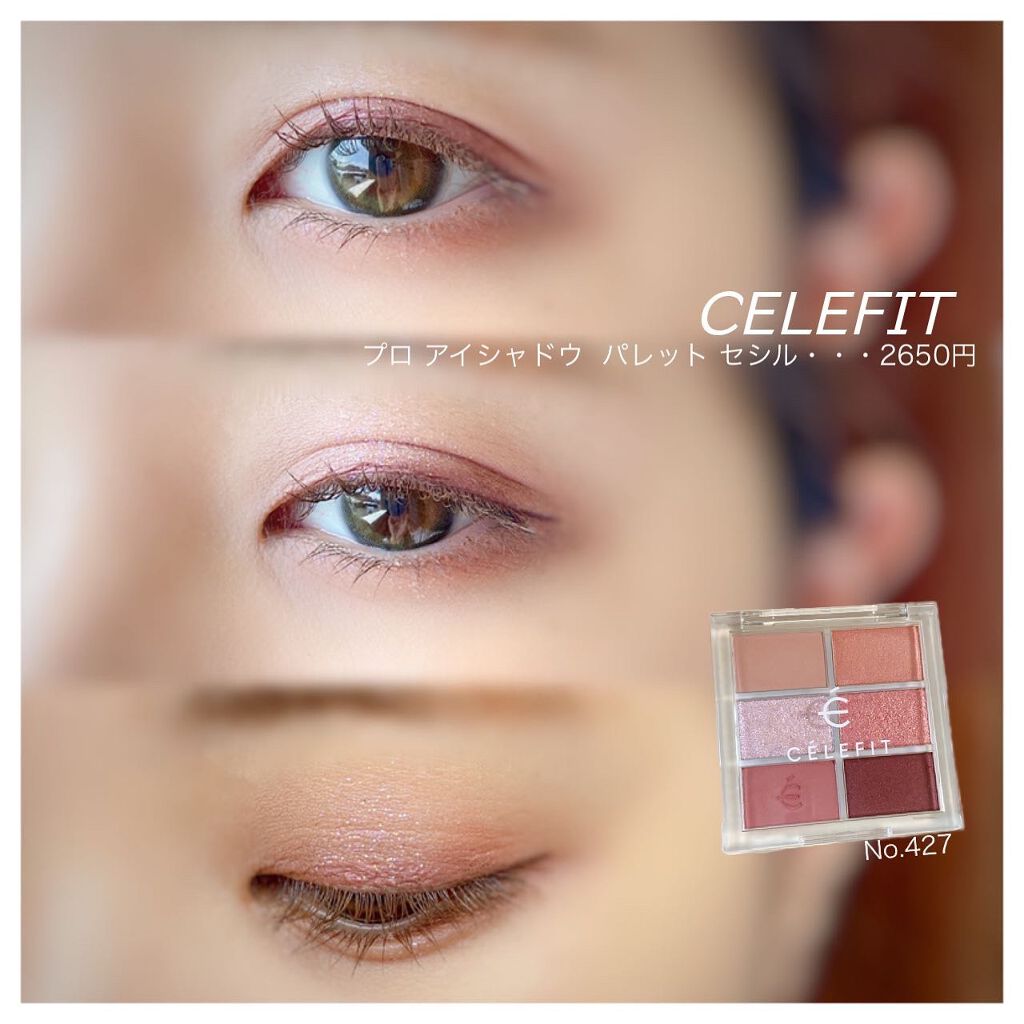 プロアイシャドウパレットセシル/CELEFIT/アイシャドウパレットを使ったクチコミ（1枚目）