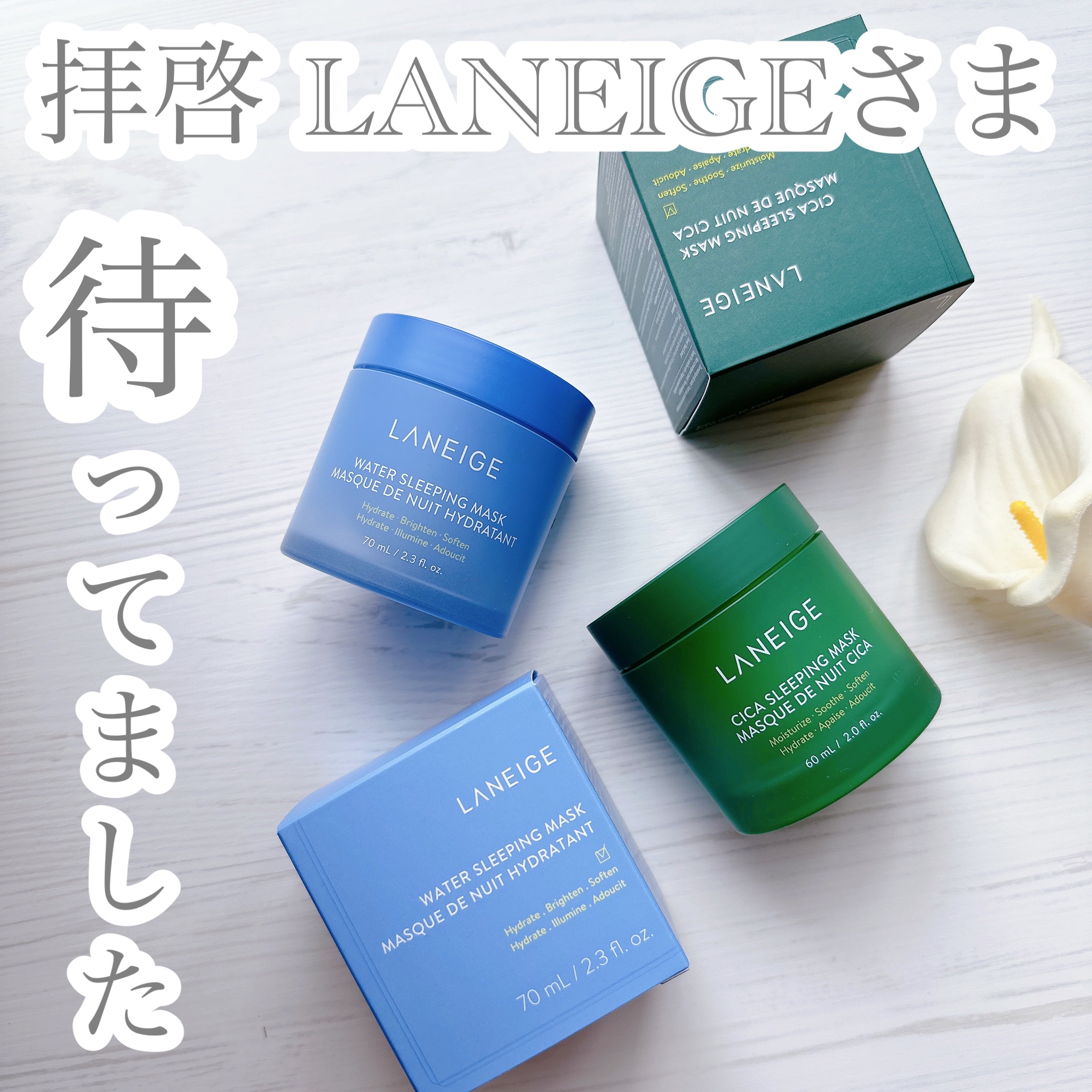 ウォータースリーピングマスク/LANEIGE/フェイスクリームを使ったクチコミ（1枚目）