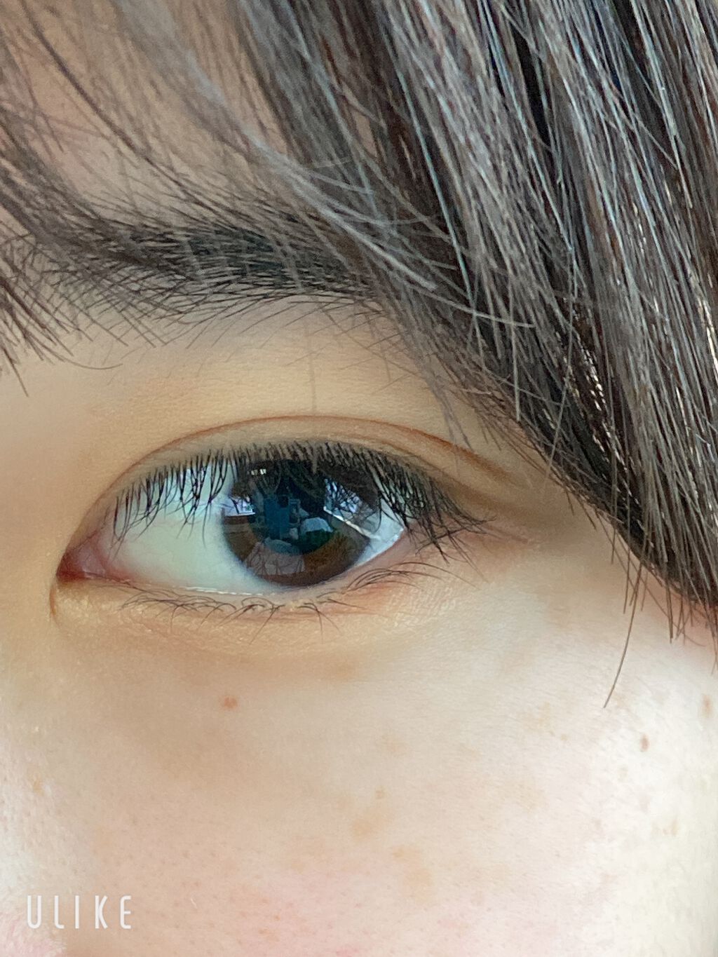 デザイニングブラウンアイズ BR-1 ウォームブラウン/KATE/アイシャドウパレットを使ったクチコミ（2枚目）