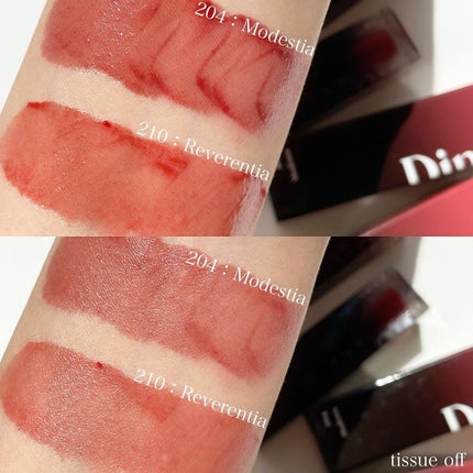 ブラーフィニシュシャドウパレット/Dinto/アイシャドウパレットを使ったクチコミ(6枚目)