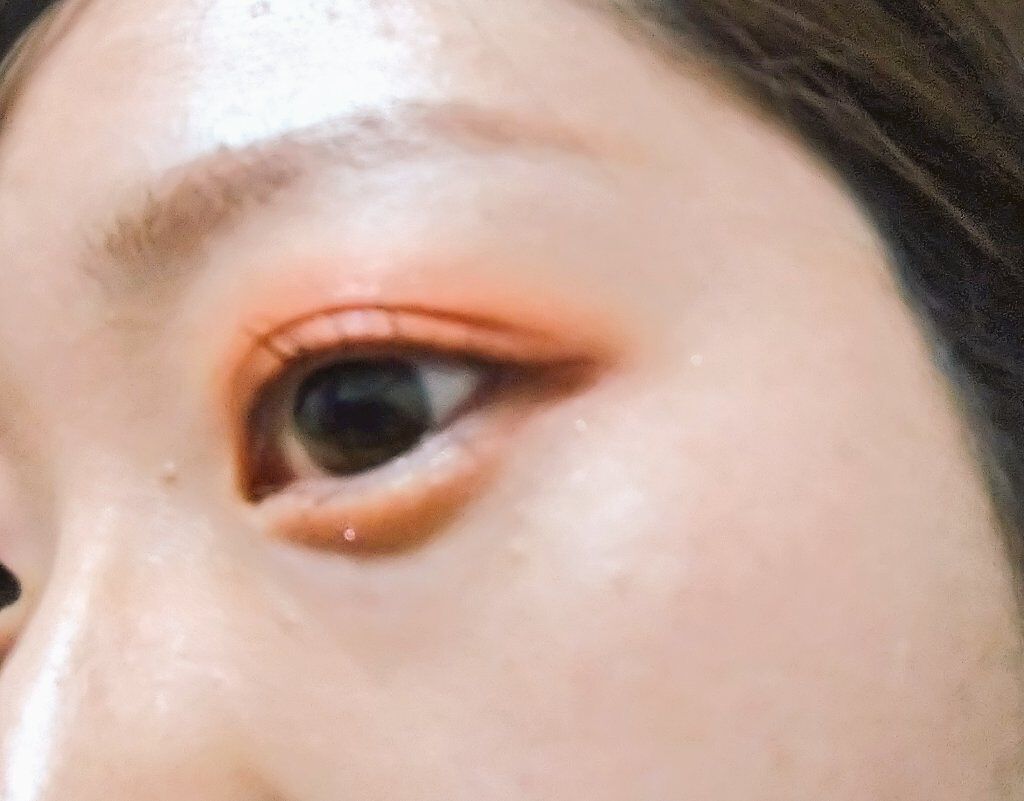 ナイストゥミーチュートランク/MAJOLICA MAJORCA/アイシャドウパレットを使ったクチコミ（1枚目）