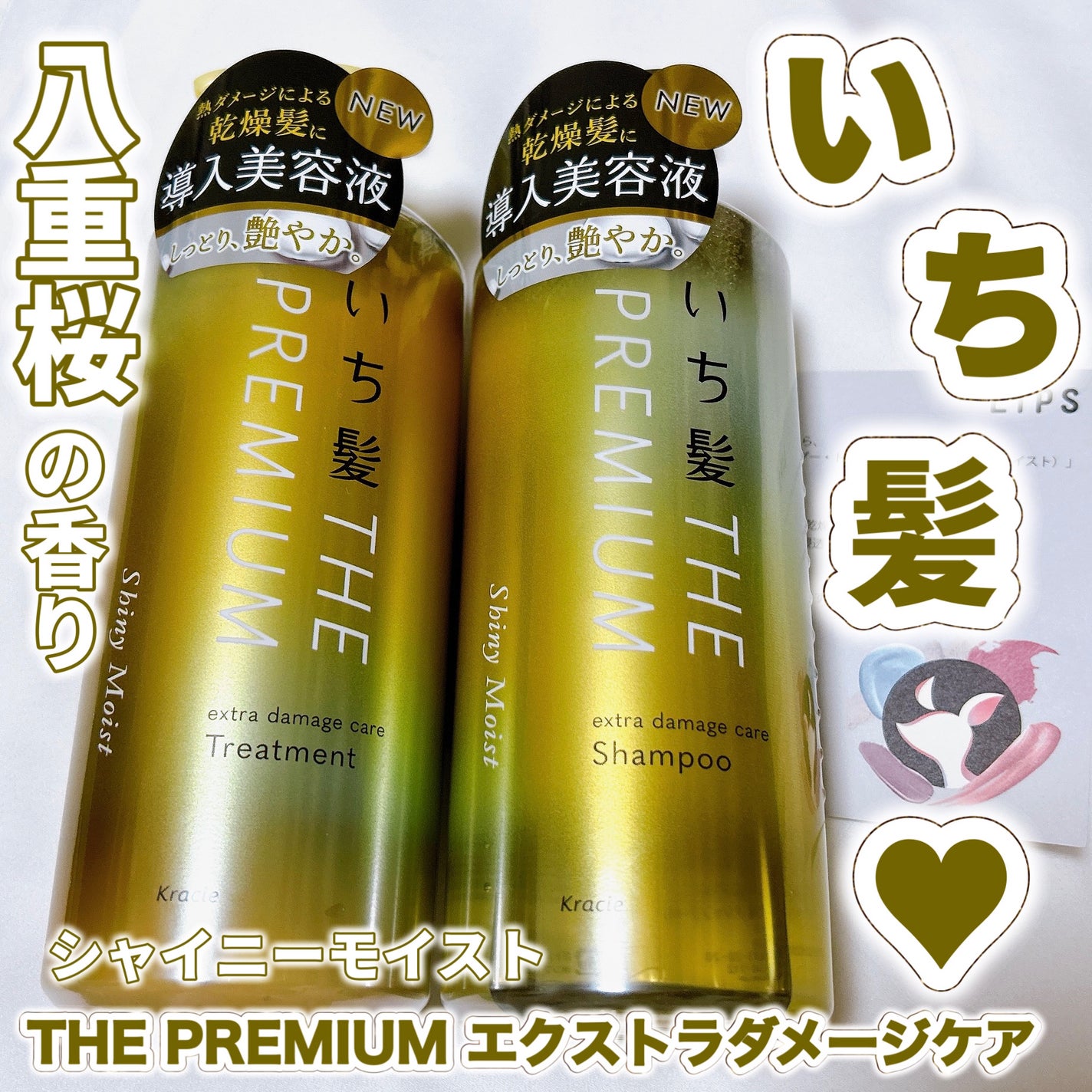 THE PREMIUM ãšã¯ã¹ãã©ãã¡ãŒãžã±ã¢ã·ã£ã³ããŒïŒããªãŒãã¡ã³ãïŒã·ã£ã€ããŒã¢ã€ã¹ãïŒ/ãã¡é«ª/åžè²©ã·ã£ã³ããŒã䜿ã£ãã¯ãã³ãïŒ1æç®ïŒ