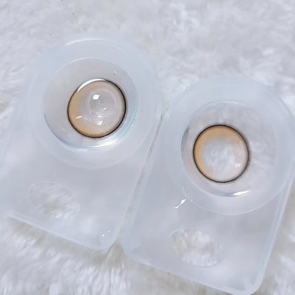 GAL NEVER DIE 1Day NEVER DIE (ネバーダイ) /GAL NEVER DIE/ワンデー(1DAY)カラコンの画像