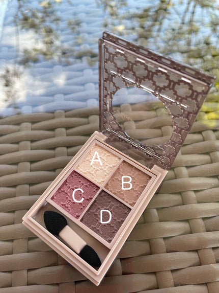 グロッシーリッチ アイズ N/Visée/アイシャドウパレットを使ったクチコミ(2枚目)