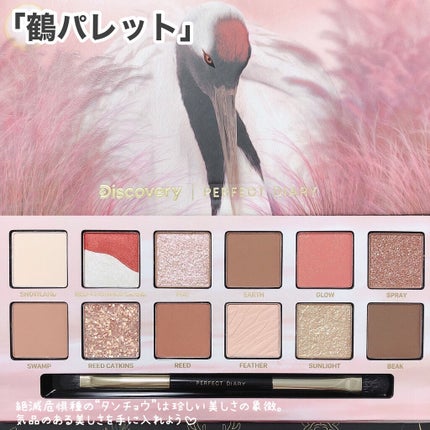 エクスプローラ12色 動物アイシャドウパレット/PERFECT DIARY/アイシャドウパレットを使ったクチコミ(7枚目)
