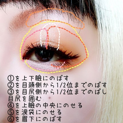 ZEESEA「ファンタジーパーク」12色アイシャドウパレット/ZEESEA/アイシャドウパレットを使ったクチコミ(3枚目)