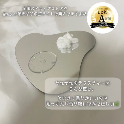 薬用スカルプケアシャンプー/トリートメント モイスト/WELLP/市販シャンプーを使ったクチコミ(5枚目)