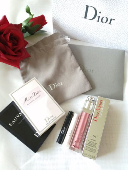 【旧】ディオール アディクト リップ ティント/Dior/リップグロスを使ったクチコミ(1枚目)