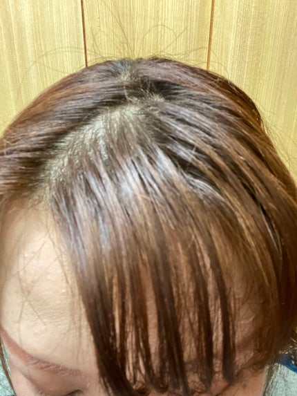 リーゼ アイロン下地 ストレート用/リーゼ/プレスタイリング・寝ぐせ直しを使ったクチコミ(1枚目)