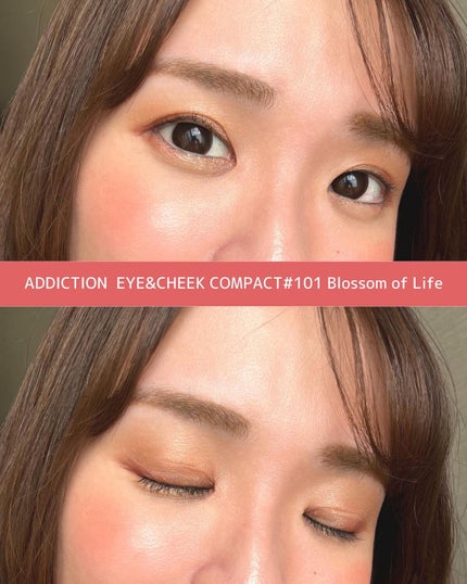 アイ & チーク コンパクトアディクション “ストーリー オブ ライフ”/ADDICTION/アイシャドウパレットを使ったクチコミ(7枚目)