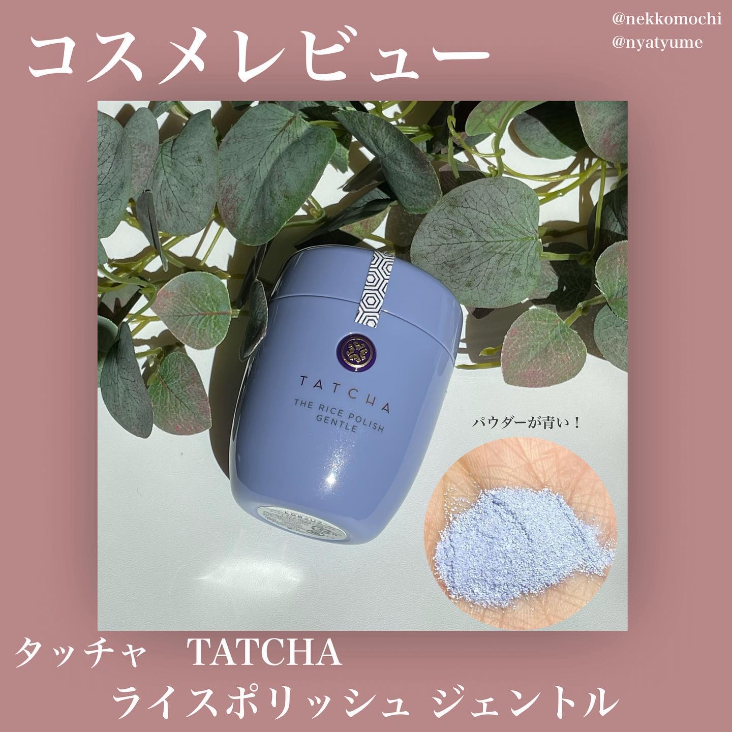 ライスポリッシュジェントル/タッチャ/洗顔パウダーを使ったクチコミ（1枚目）