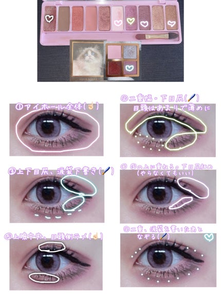 Venus Marble アイシャドウキャットシリーズ/Venus Marble/アイシャドウパレットを使ったクチコミ(2枚目)