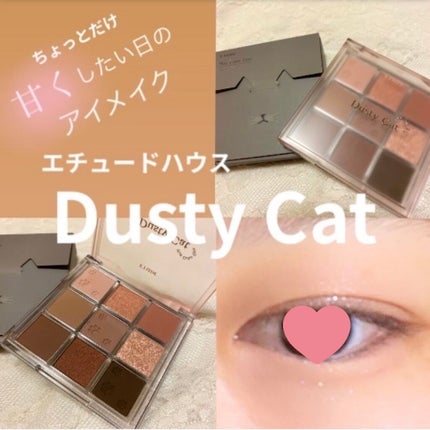 プレイカラーアイズ ダスティキャット/ETUDE/アイシャドウパレットを使ったクチコミ(1枚目)