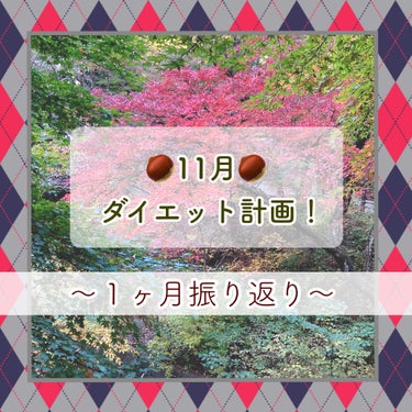 ※雑談※11月ダイエット計画〜振り返り〜🙋‍♀️🤎


✿目標✿
今月の目標は、「代謝アップ月間！」
→１ヶ月間、代謝アップを心がけた行動ができたので達成とします🙆‍♀️💓



☘️実践できたこと☘️