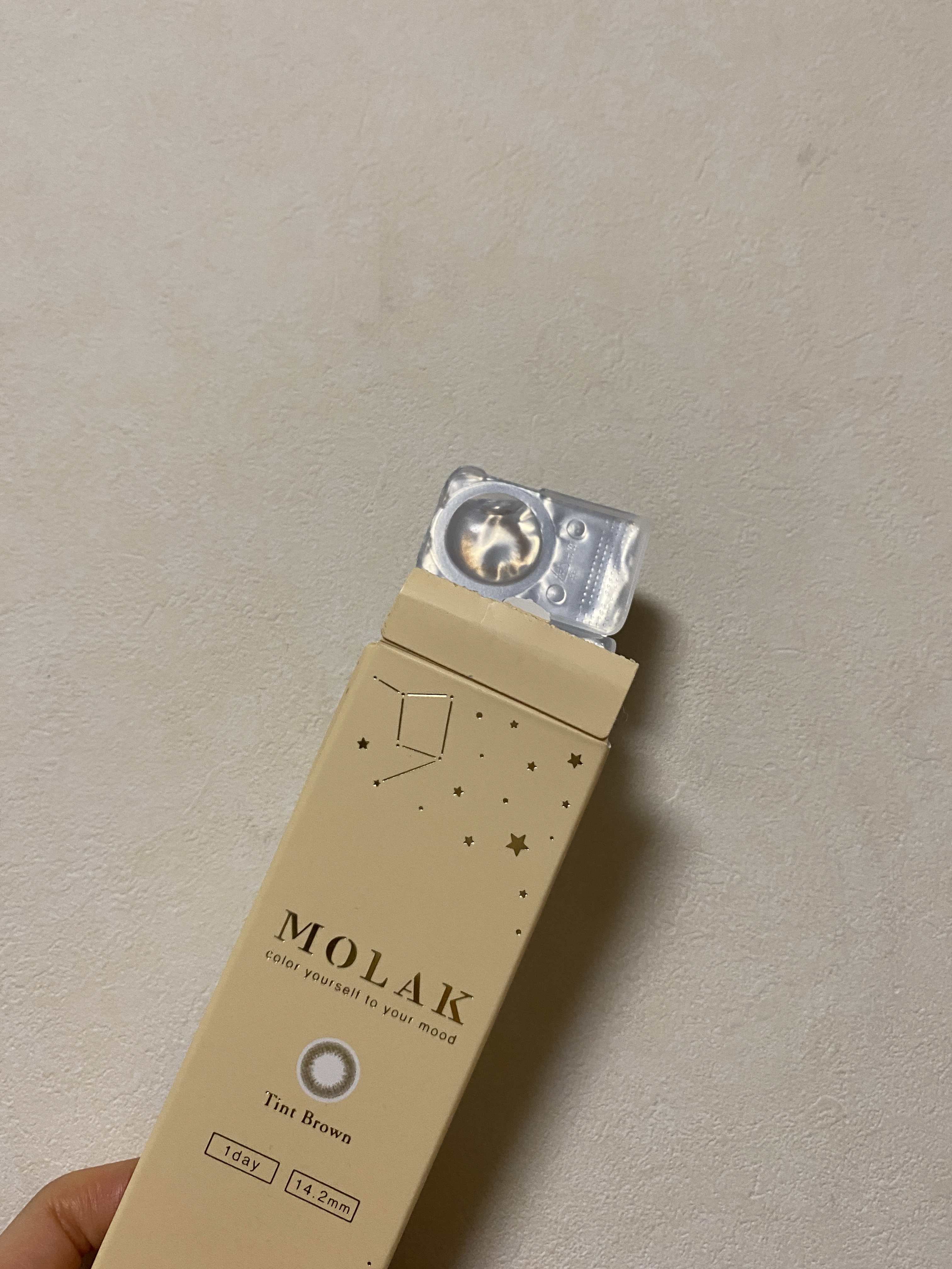 MOLAK 1day ティントブラウン/MOLAK/ワンデー（１DAY）カラコンを使ったクチコミ（1枚目）