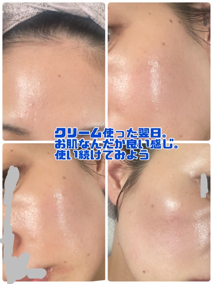 バデカシルプラスP/23years old/フェイスクリームを使ったクチコミ(4枚目)