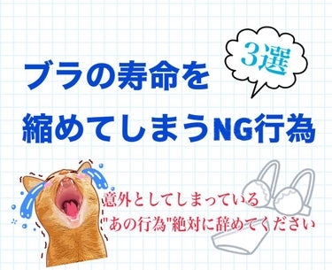 ブラの寿命を縮めてしまうNG行為…

3選集めてみました！✨

皆さんよくしてる行為だとは思うのですが
辞めてくださいね💦💦

☆.。.:*・°☆.。.:*・°☆.。.:*・°☆☆.。.:*・°☆.。.