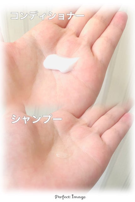 SS ビオリス ピュアレタッチ ぺたふぅわ シャンプー/ヘアコンディショナー/SSビオリス/市販シャンプーを使ったクチコミ(2枚目)