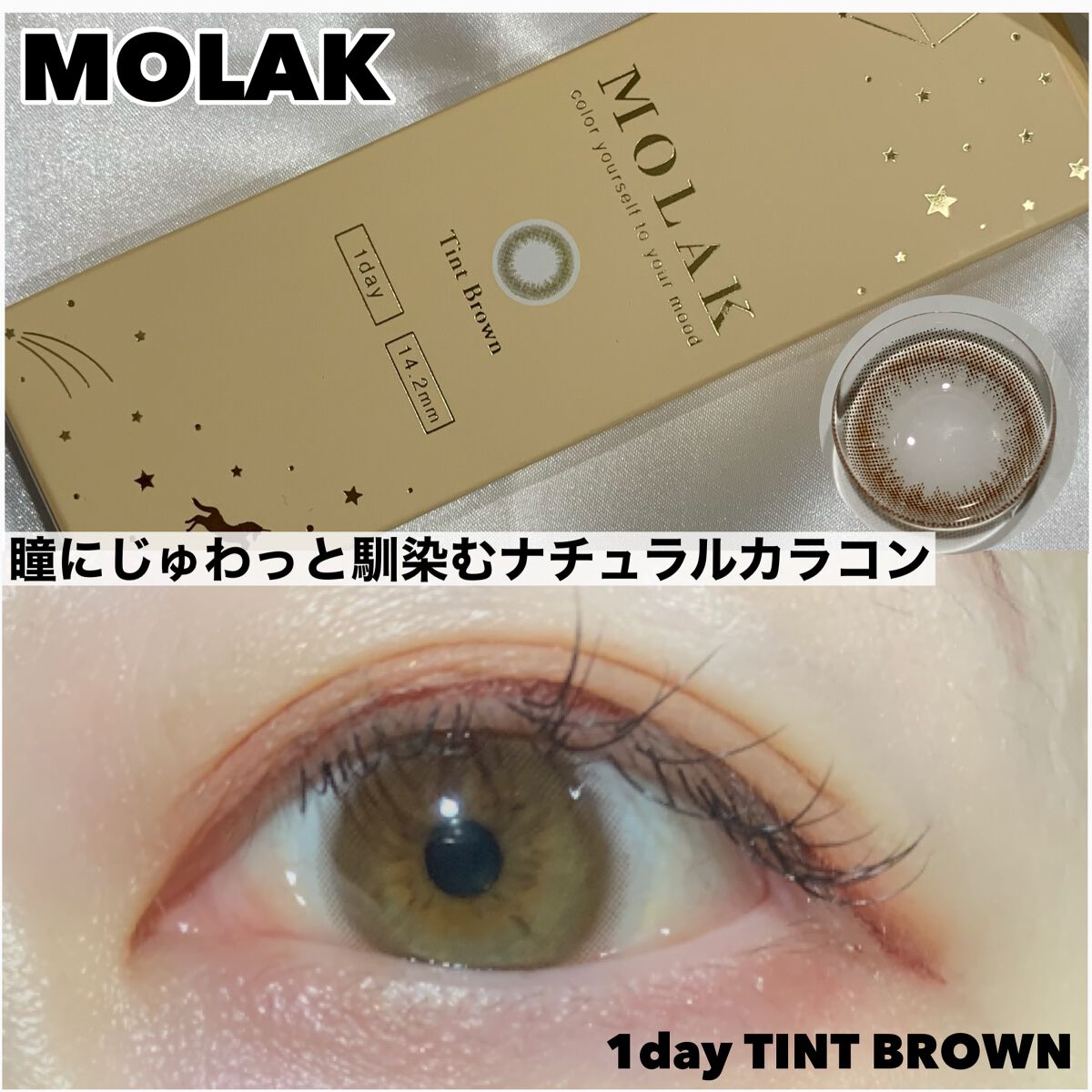 MOLAK 1day/MOLAK/ワンデー（１DAY）カラコンを使ったクチコミ（1枚目）