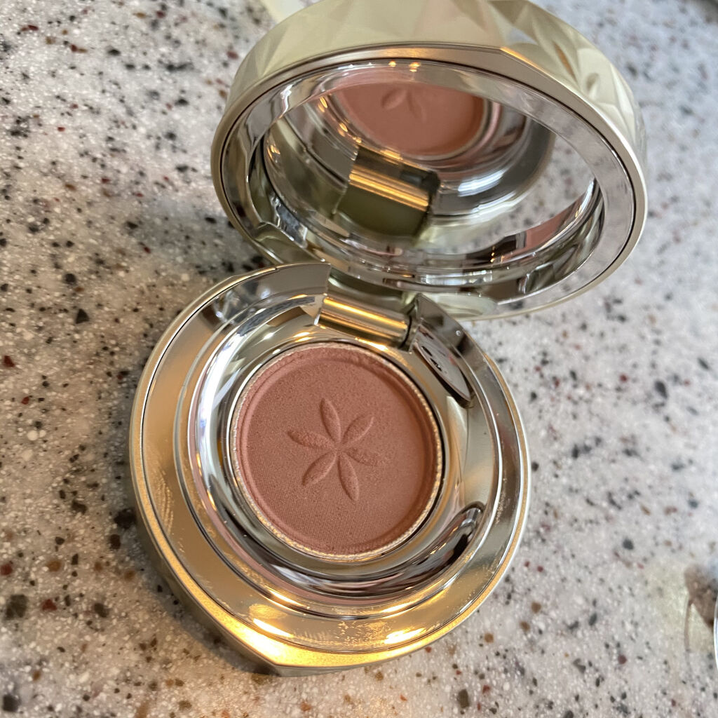 AQ アイシャドウ/DECORTÉ/単色アイシャドウを使ったクチコミ（2枚目）