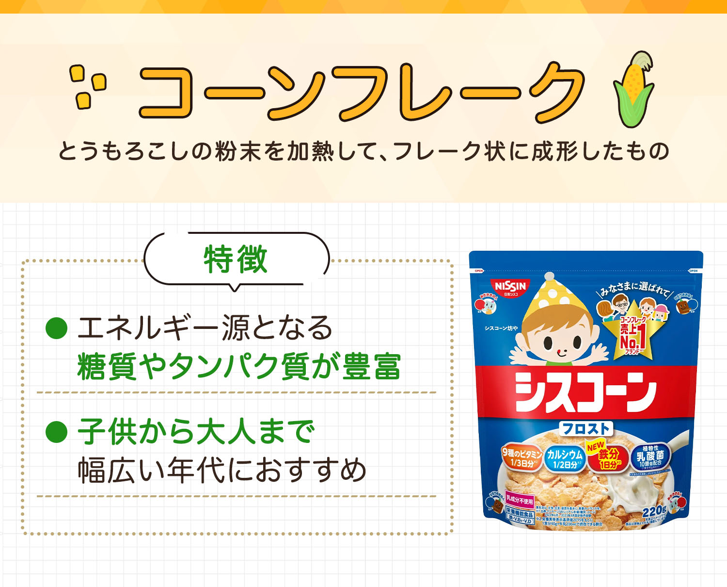 コーンフレークはとうもろこしの粉末を加熱して、フレーク状に成形したものです。エネルギー源となる糖質やタンパク質が豊富で子供から大人まで幅広い年代におすすめ。