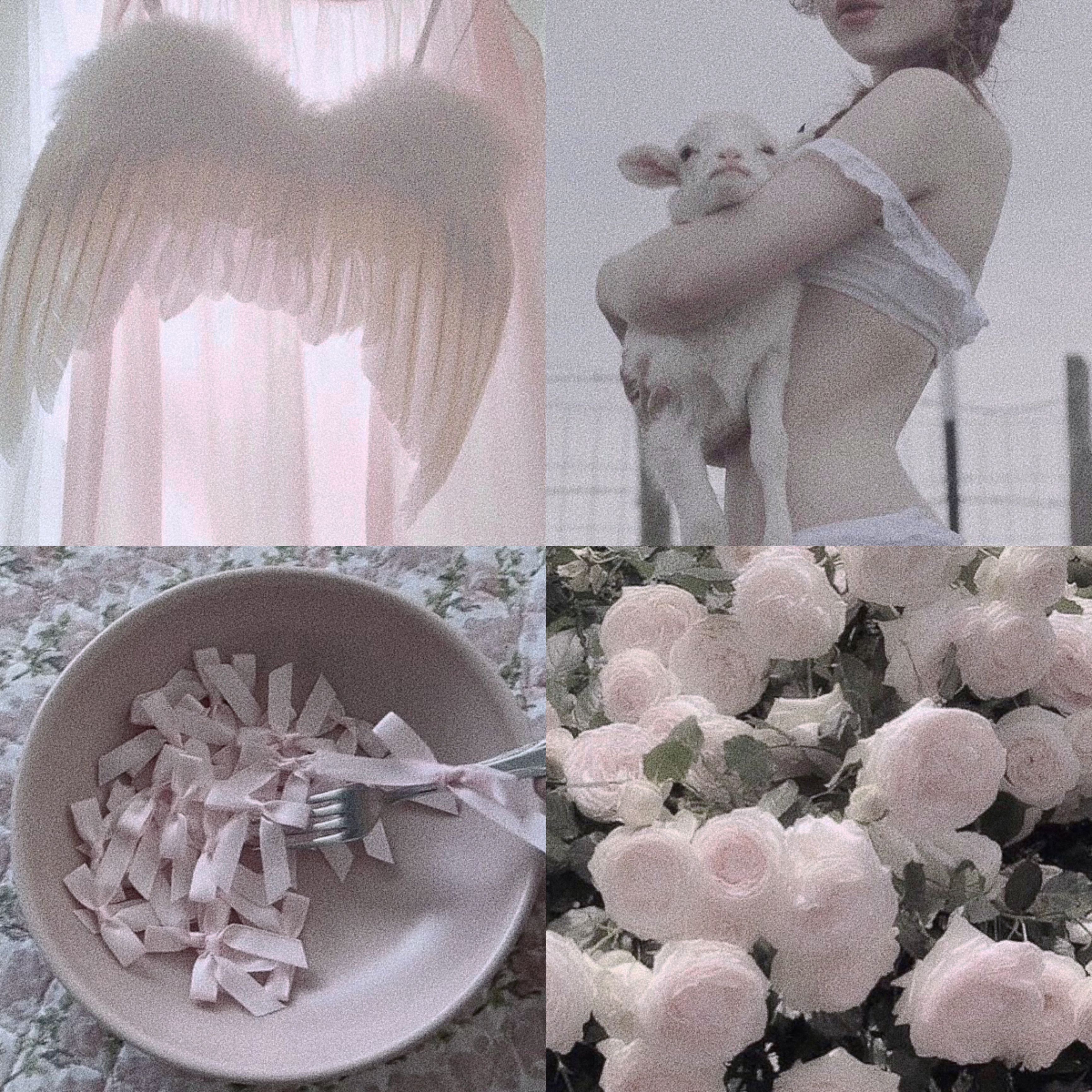 ブラーフィニシュブラッシャー 508 リトルオルコット/Dinto/パウダーチークを使ったクチコミ（2枚目）