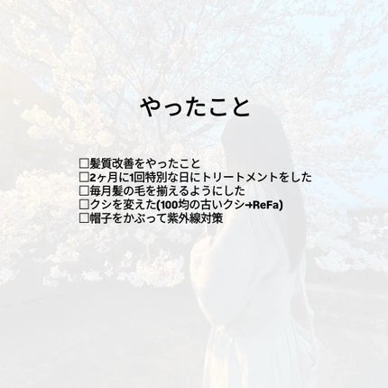 を使ったクチコミ(2枚目)