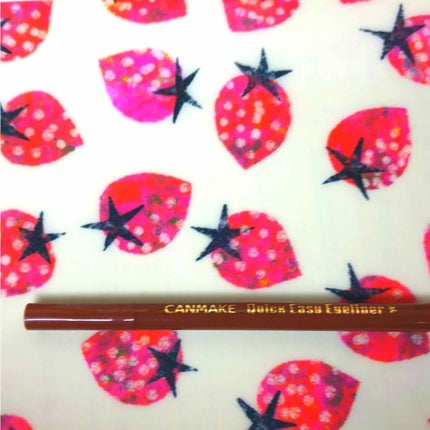 クイックイージーアイライナー/キャンメイク/リキッドアイライナーを使ったクチコミ(1枚目)