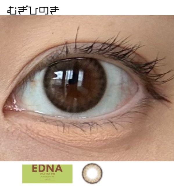 EDNA 1day/EDNA/ワンデー（１DAY）カラコンを使ったクチコミ（1枚目）