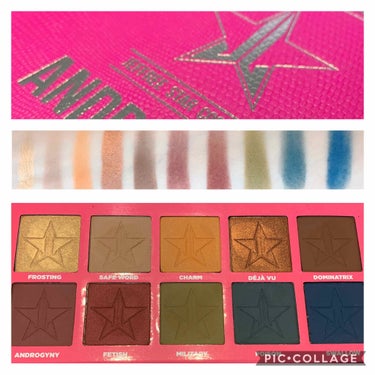 Androgyny Eyeshadow Palette/Jeffree Star Cosmetics/パウダーアイシャドウを使ったクチコミ（3枚目）