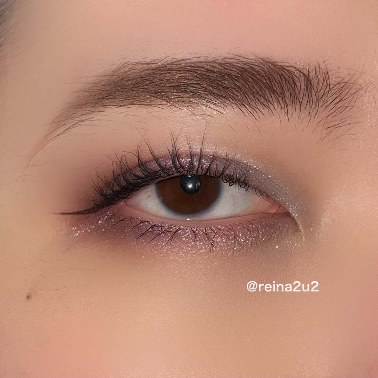 patmcgrath Opalescent Orchid/PAT McGRATH LABS/アイシャドウパレットを使ったクチコミ(3枚目)