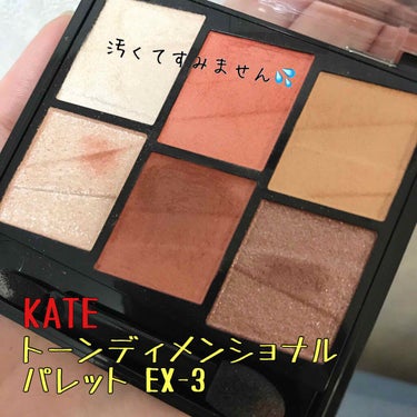 トーンディメンショナルパレット EX-3 コーラルベージュ系/KATE/メイクアップキットを使ったクチコミ（2枚目）