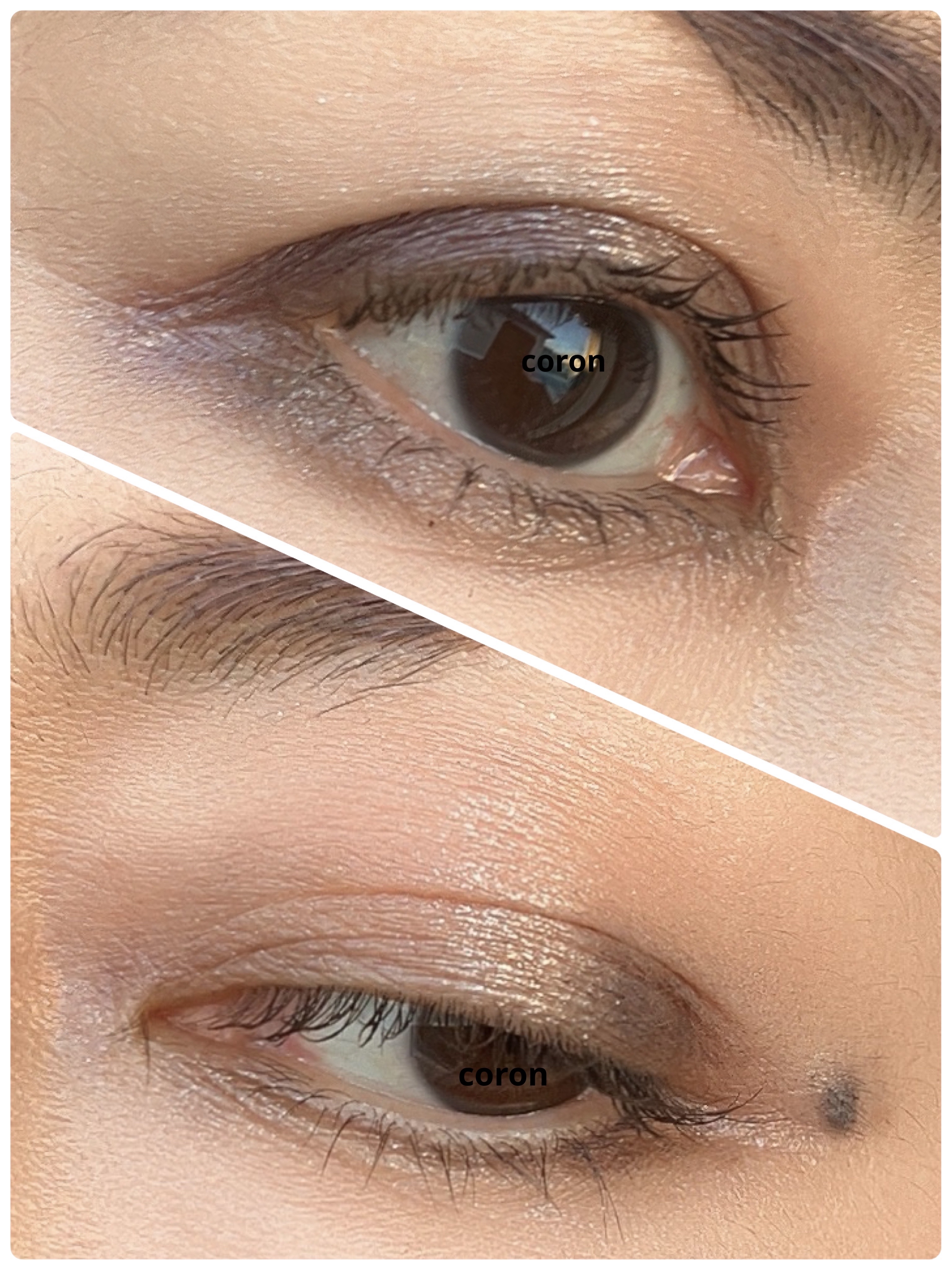 ジルスチュアート ムースブロウマスカラ/JILL STUART/眉マスカラを使ったクチコミ（2枚目）