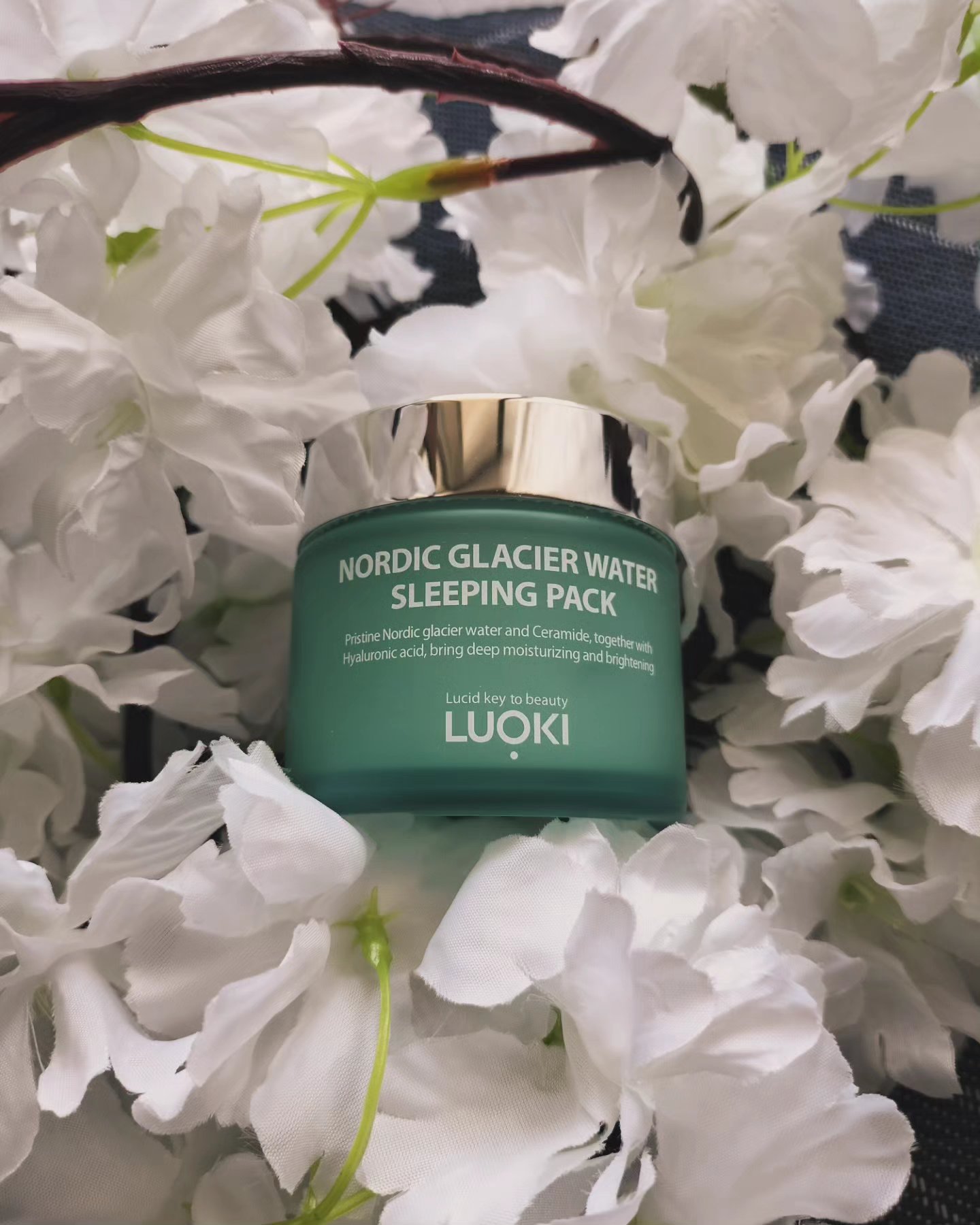 ノルディック氷河水スリーピングパック/LUOKI/フェイスクリームを使ったクチコミ（1枚目）