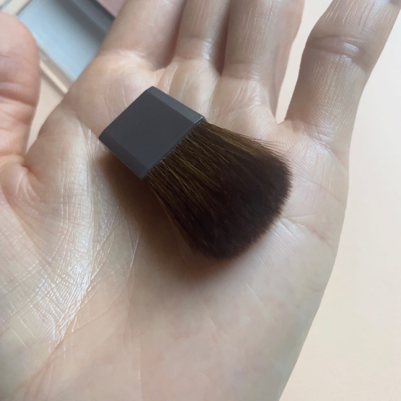 チークブラッシュ/CEZANNE/パウダーチークを使ったクチコミ(3枚目)