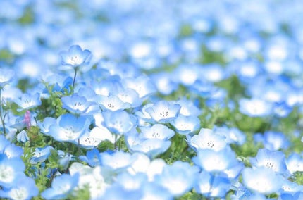 腸がすべて/東洋経済新報社/書籍を使ったクチコミ(2枚目)