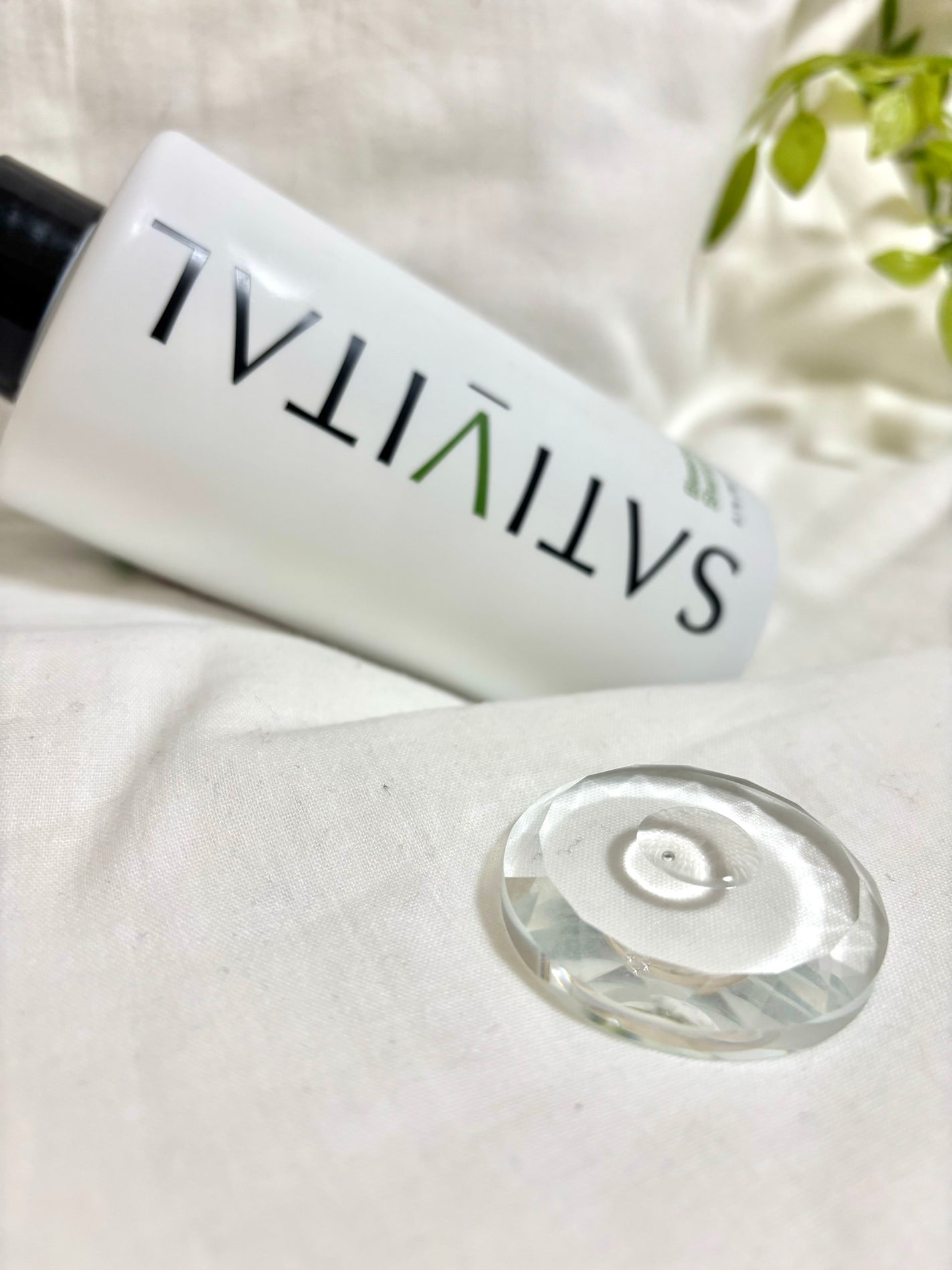 ブレッシングス オブ ヘンプ シャンプー/SATIVITAL/シャンプー・コンディショナーを使ったクチコミ(2枚目)