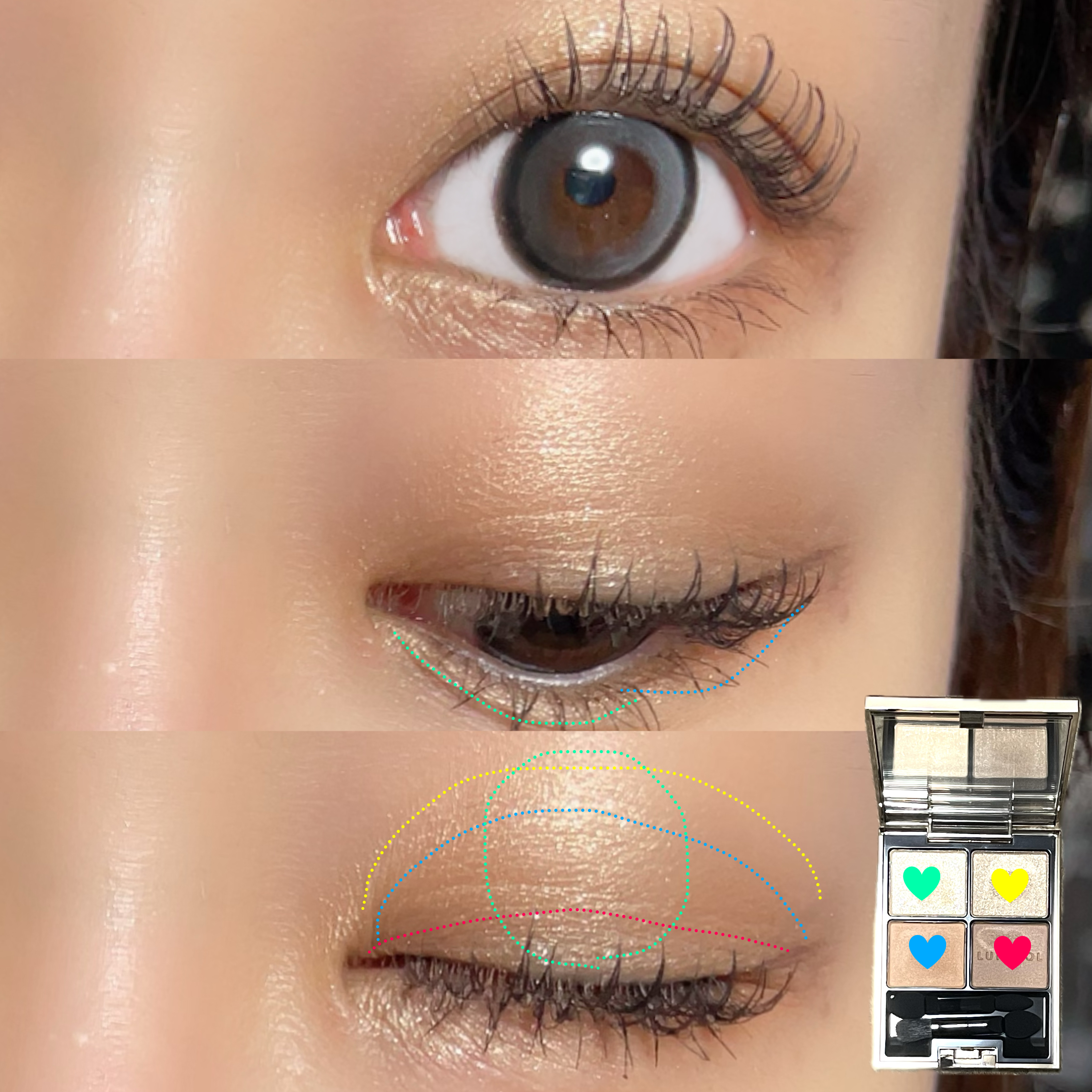 アイカラーレーション/LUNASOL/アイシャドウパレットを使ったクチコミ（2枚目）