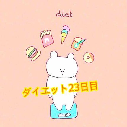 佐野 on LIPS 「こんにちは、佐野です🐾ダイエット23日目🐷体重、53.1kg何..」(1枚目)