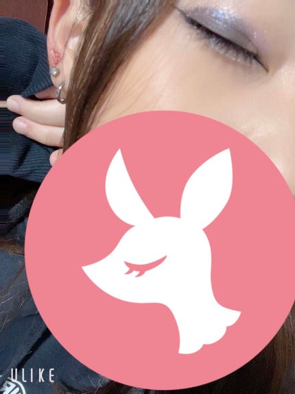 Venus Marble アイシャドウキャットシリーズ/Venus Marble/アイシャドウパレットを使ったクチコミ(4枚目)