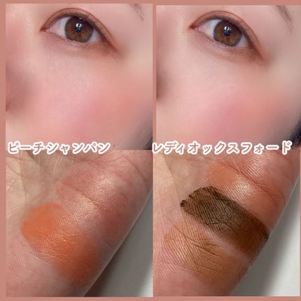 パラダイス デュアルパレット/DEAR DAHLIA/マルチパレットを使ったクチコミ(7枚目)