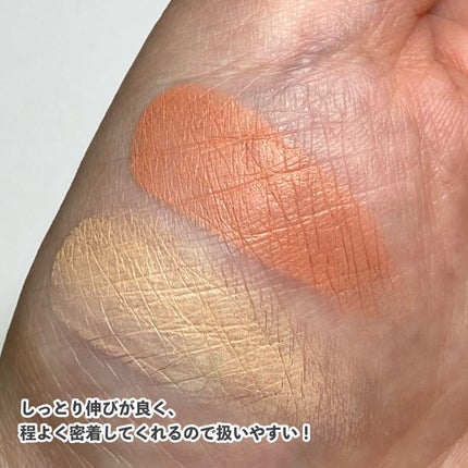 リシェ レッドトリック アイコンシーラー/Visée/パレットコンシーラーを使ったクチコミ(6枚目)